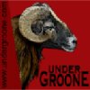 Undergroone